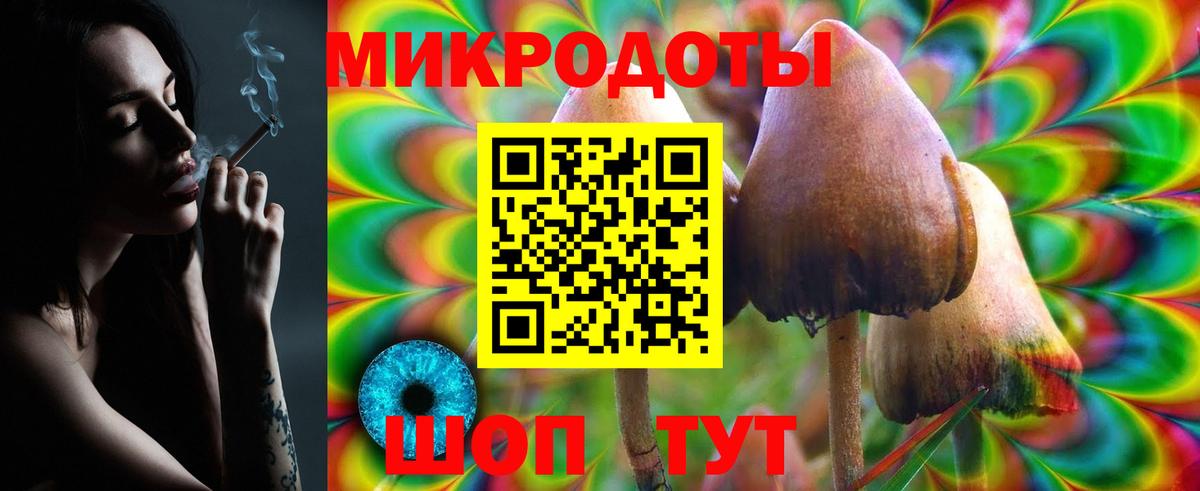 Губаха  Псилоцибиновые грибы Magic Shrooms  Вход с VPN 